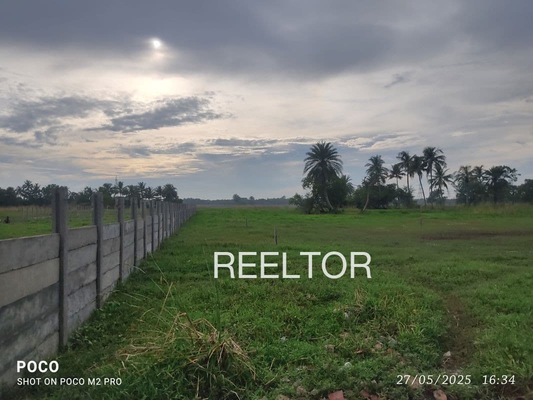 Plots For Rent In Kali Pahari Rajgarh