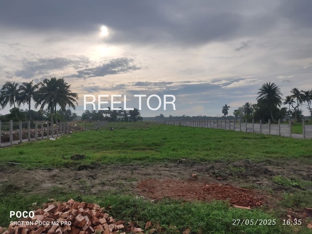 Plots For Rent In Ratanpuriya Jawad