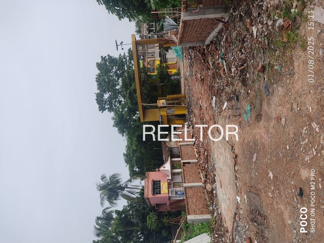 Plots For Rent In Benun Kandaghat