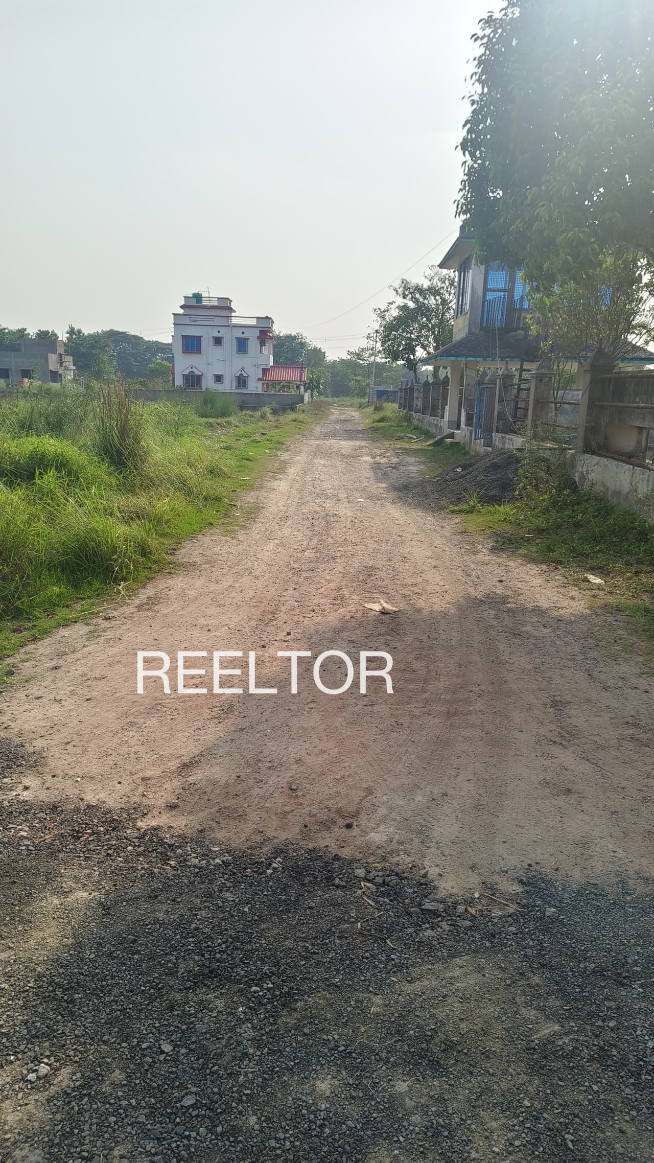 Plots For Rent In Sadasinghwala Pilibanga