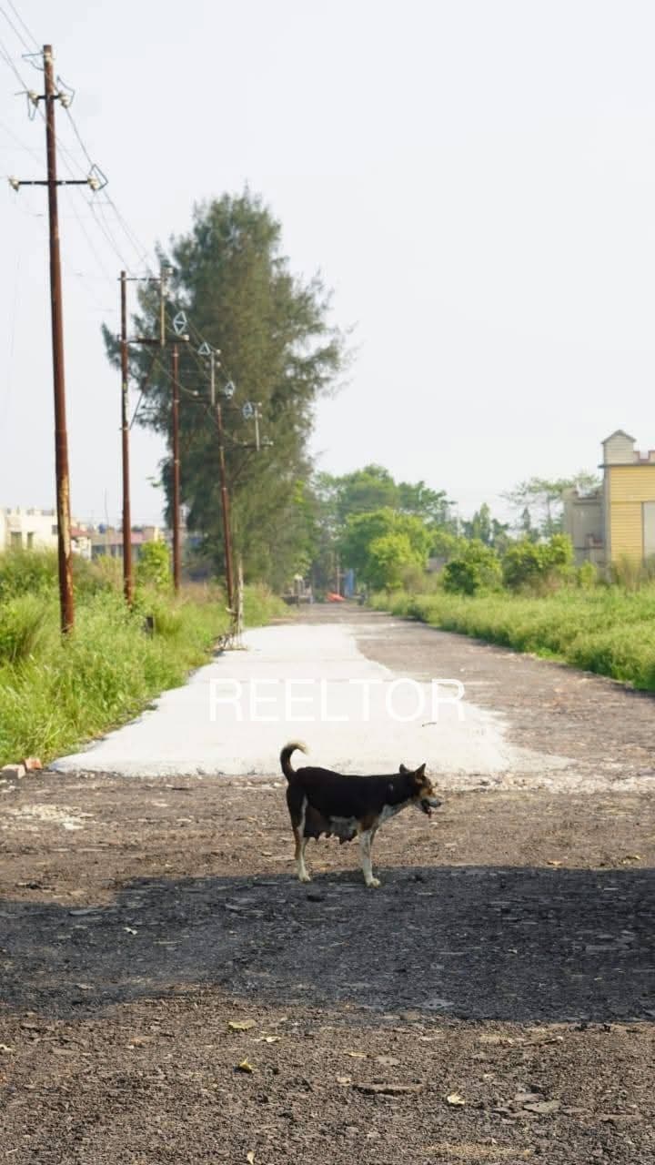 Plots For Rent In Tambegadi Mnedha Sindewahi