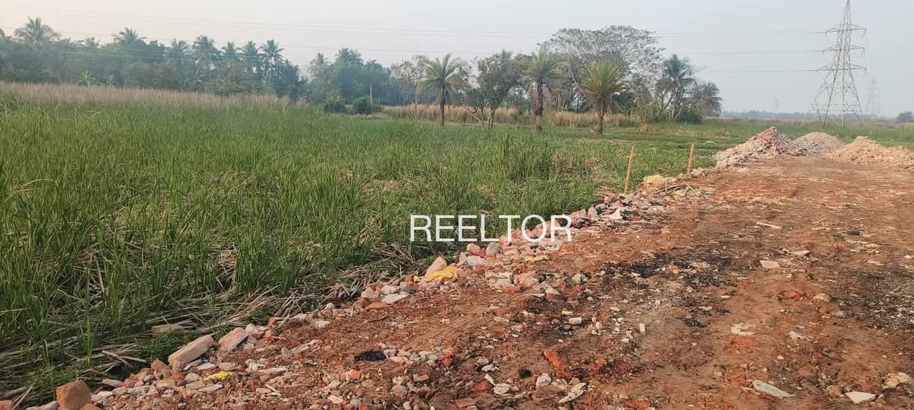 Plots For Rent In Baloti Dhira