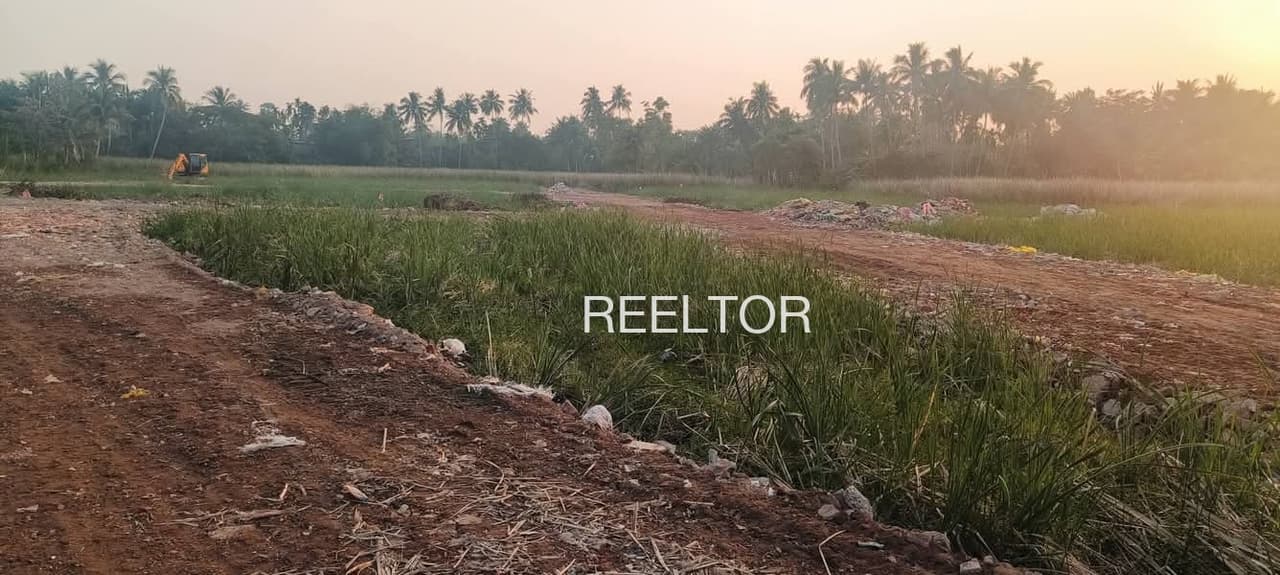 Plots For Rent In Neeranthanam Meenachil