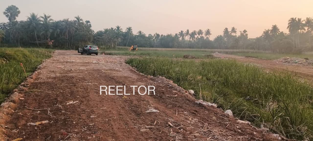 Plots For Rent In Tinej Rudraprayag