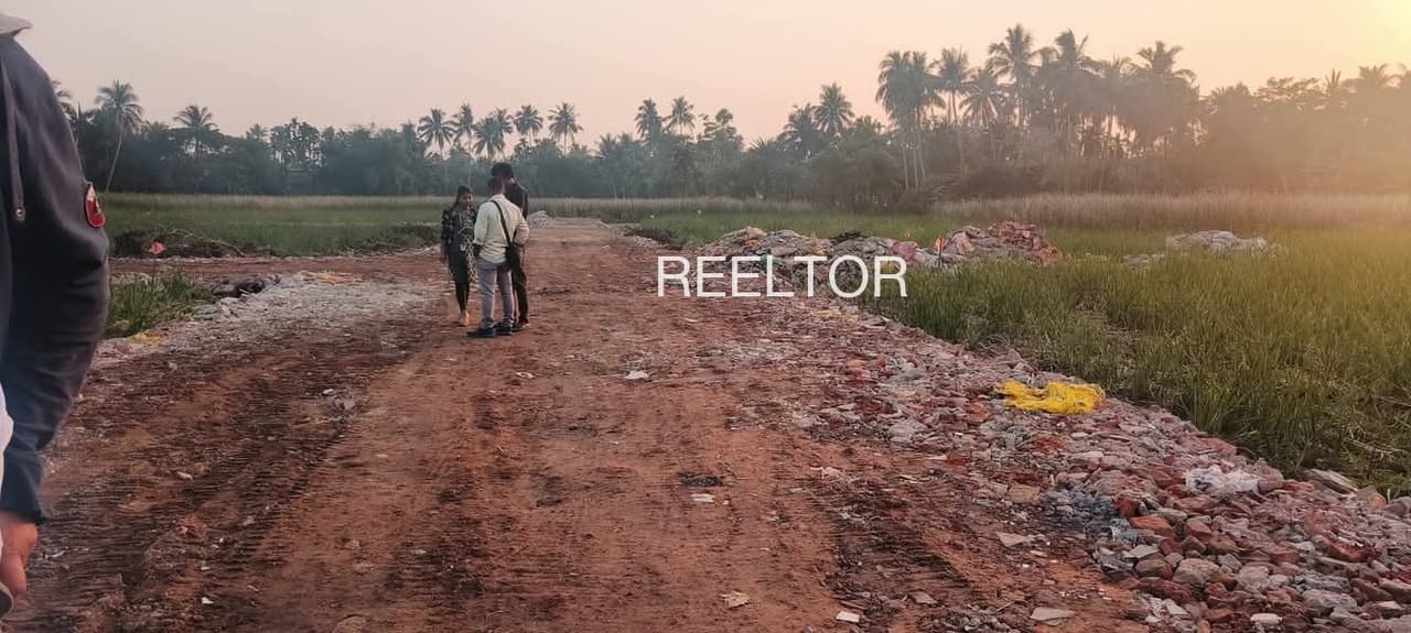 Plots For Rent In Panyari Bichhua