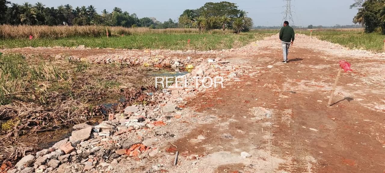 Plots For Rent In Chikka Hesaruru Mundargiu