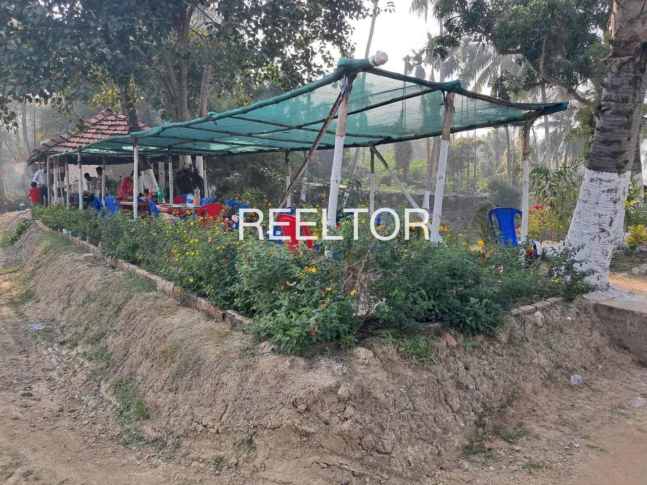 Plots For Rent In Janiya Shimla