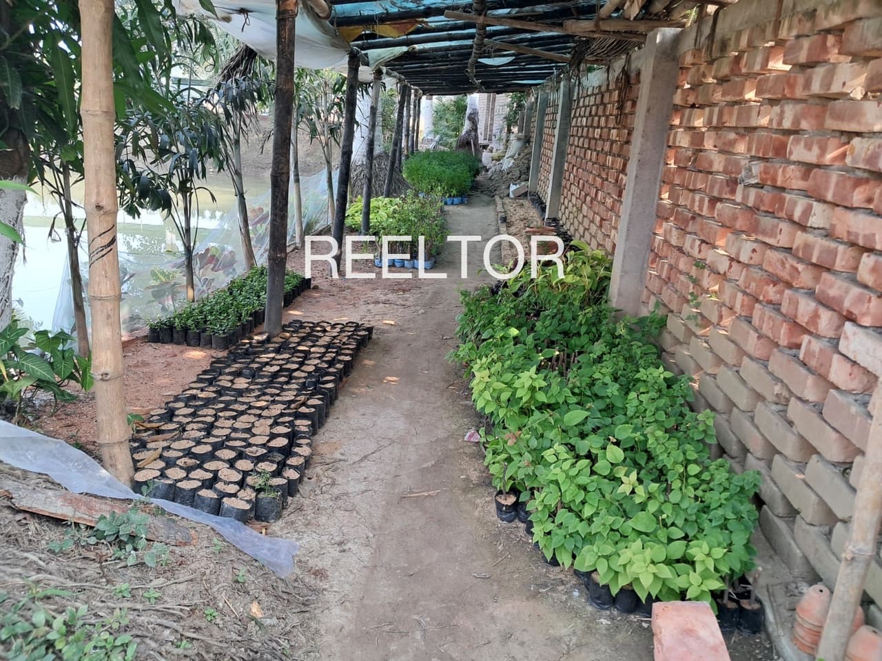 Plots For Rent In Balahra Fatehgarh Sahib