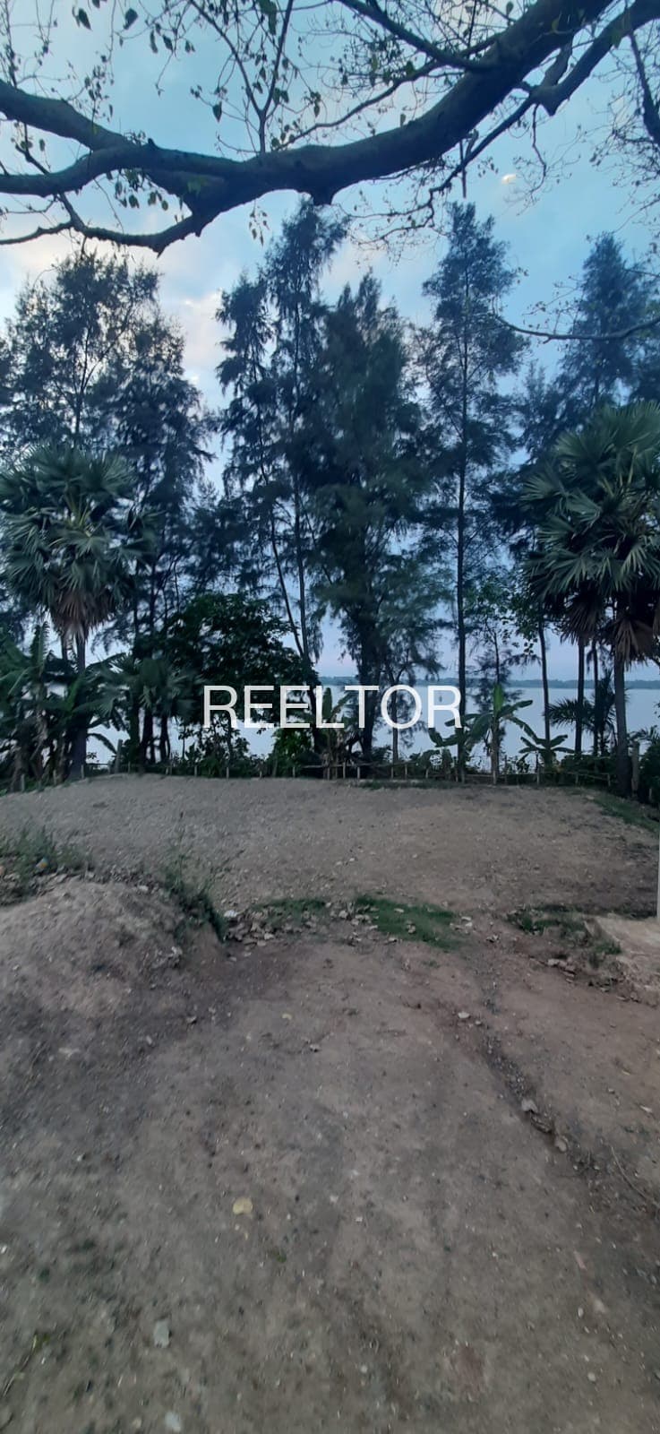 Plots For Rent In Morgaon Bhakare Akola