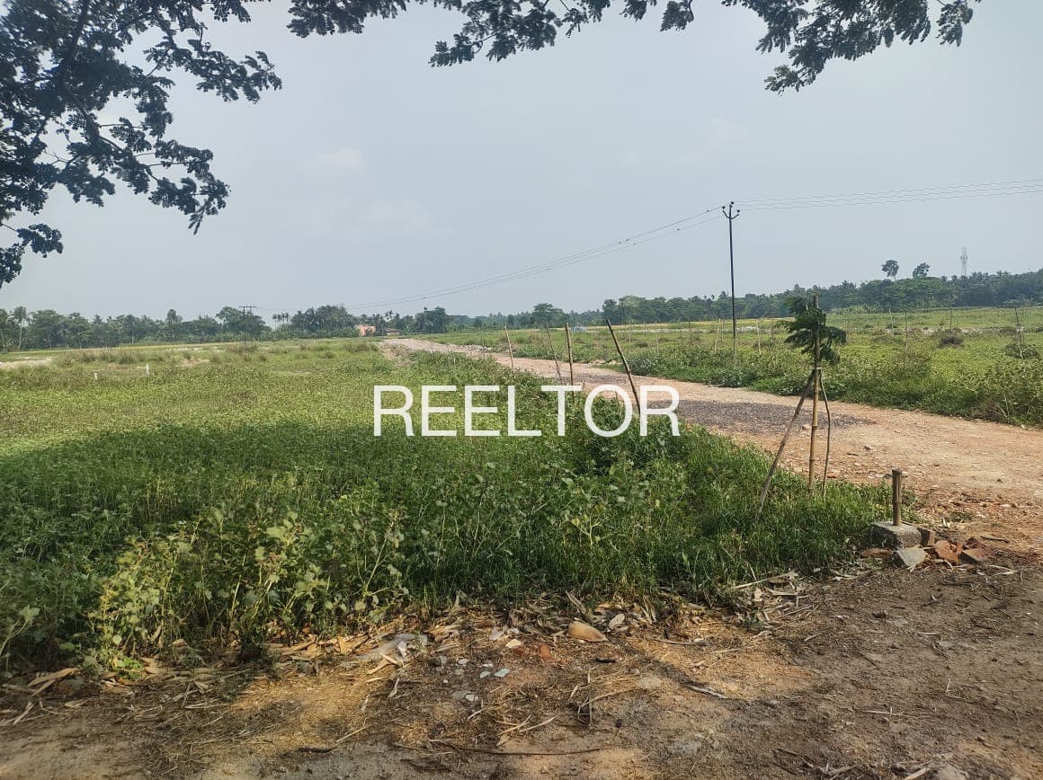 Plots For Rent In Nazurul Nagar No 8 Kagaznagar