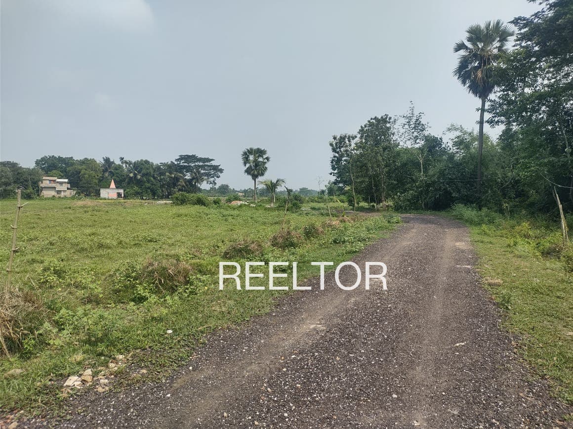 Plots For Rent In Garahu Nohra