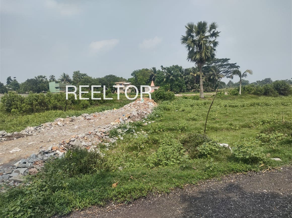 Plots For Rent In Khairpur Piprai