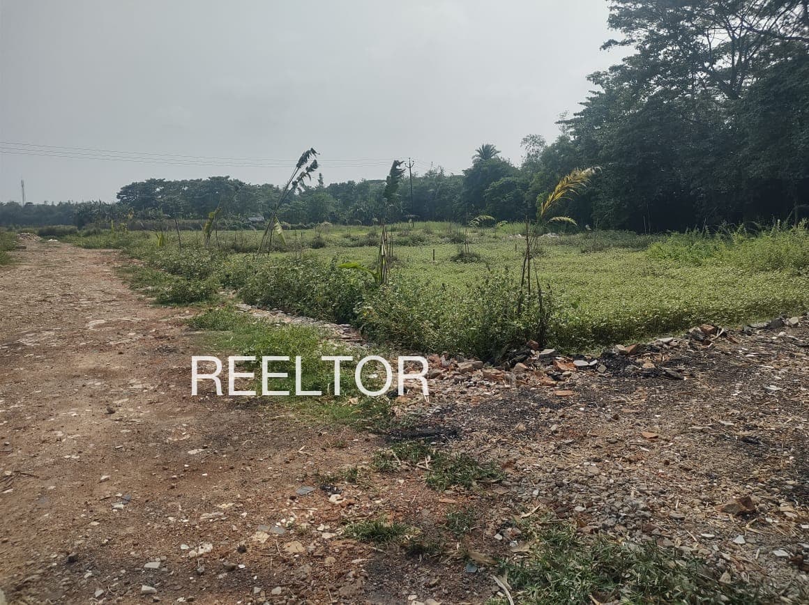 Plots For Rent In Budhanal Karsog