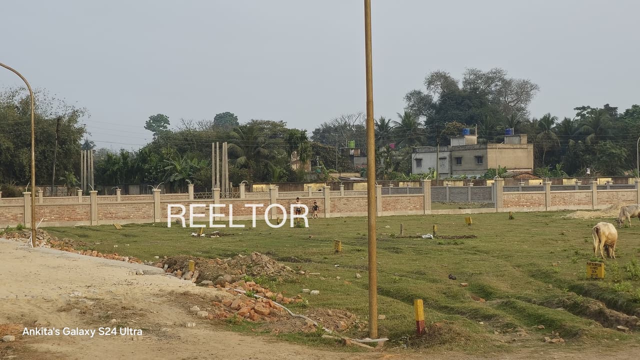 Plots For Rent In Palyani Darlaghat