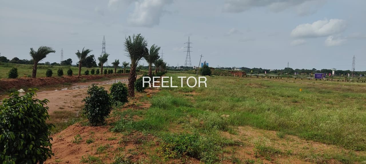 Plots For Rent In Darroni Shivpuri Tahsil