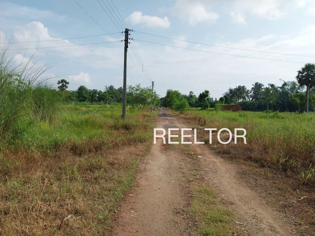 Plots For Rent In Jagher Rajgarh
