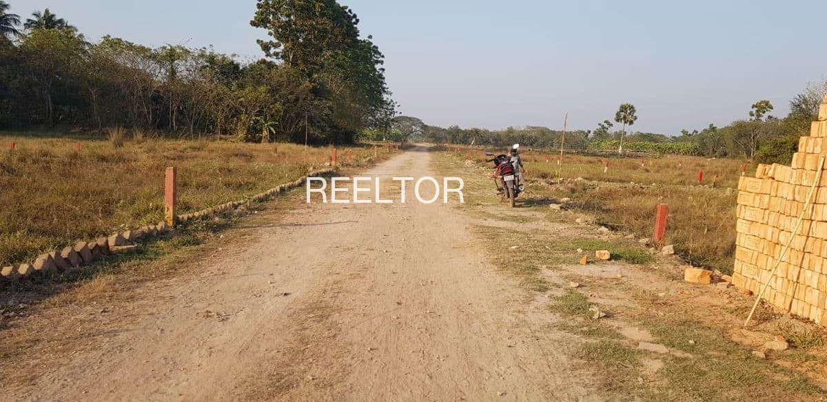 Plots For Rent In Bhopa Fatehgarh