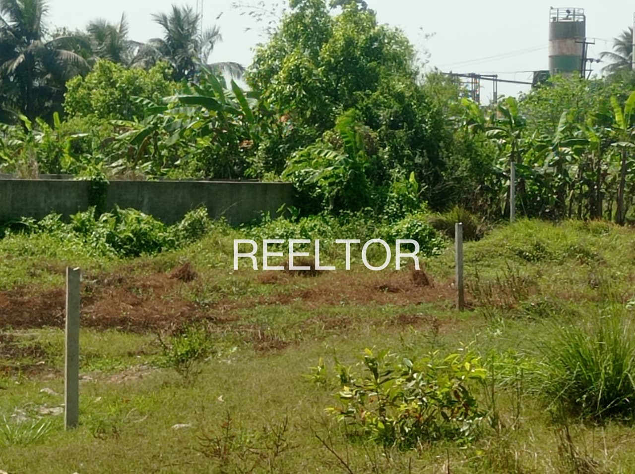 Plots For Rent In Agasanuru Siruguppau