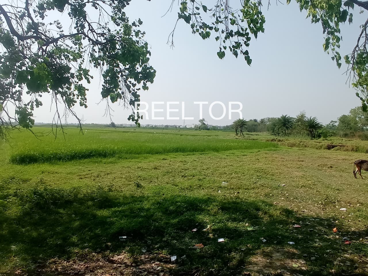 Plots For Rent In Biloo Makrana