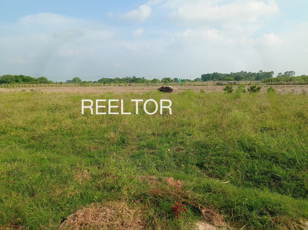 Plots For Rent In Tambegadi Mnedha Sindewahi