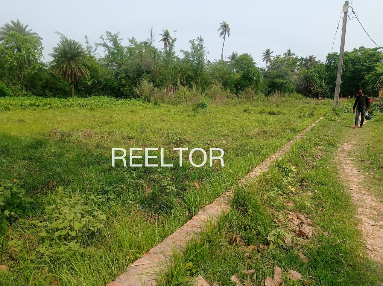 Plots For Rent In Thorlewadi Ahmadpur