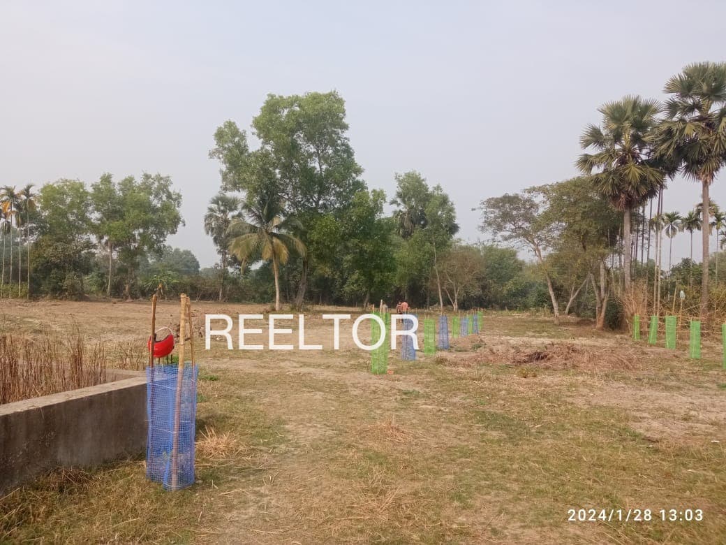 Plots For Rent In Arepally Shayampet