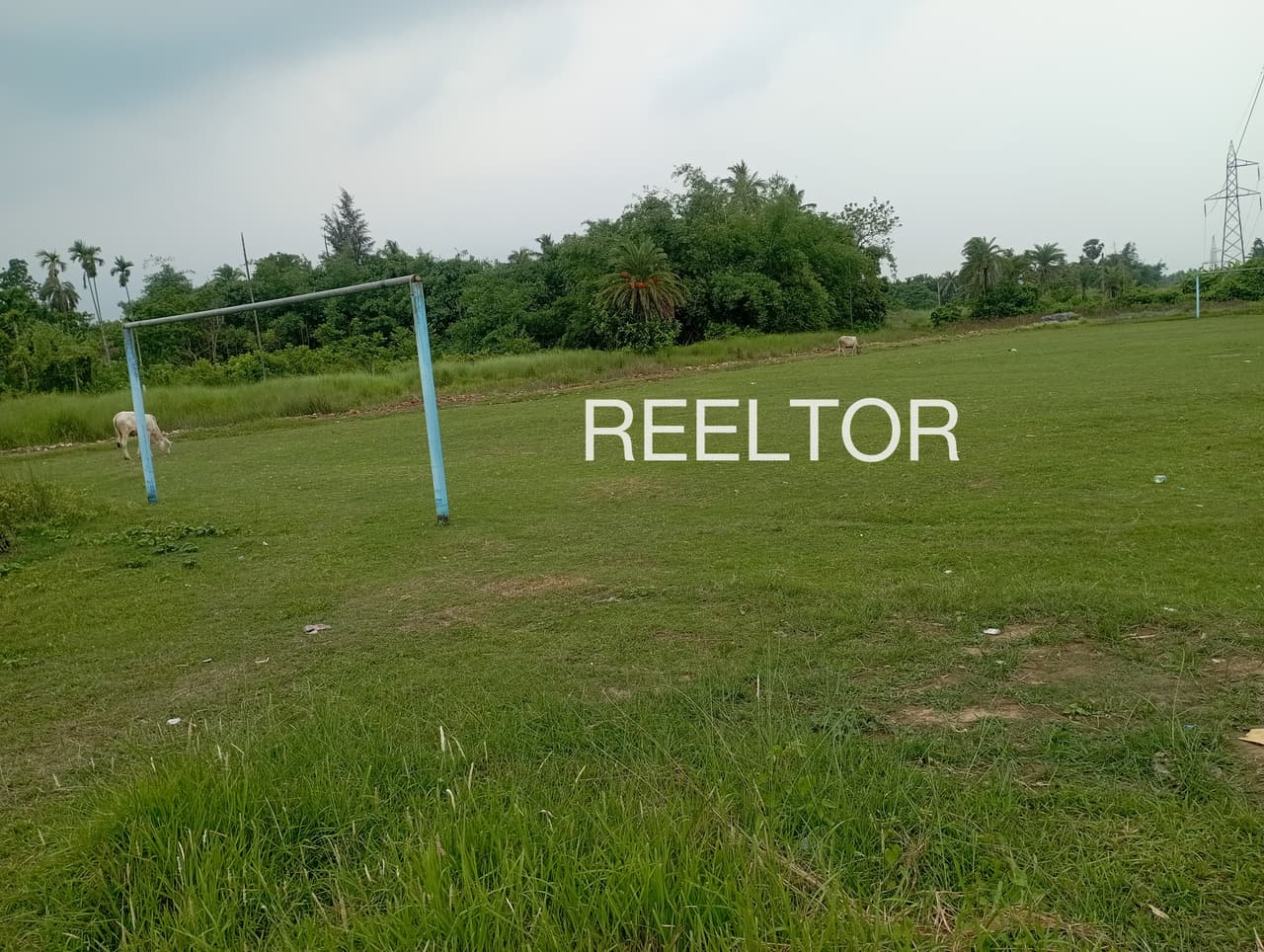 Plots For Rent In Soorakuttai Rasipuram