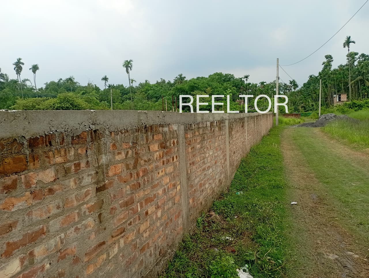 Plots For Rent In Ponjikkara Kanayannur