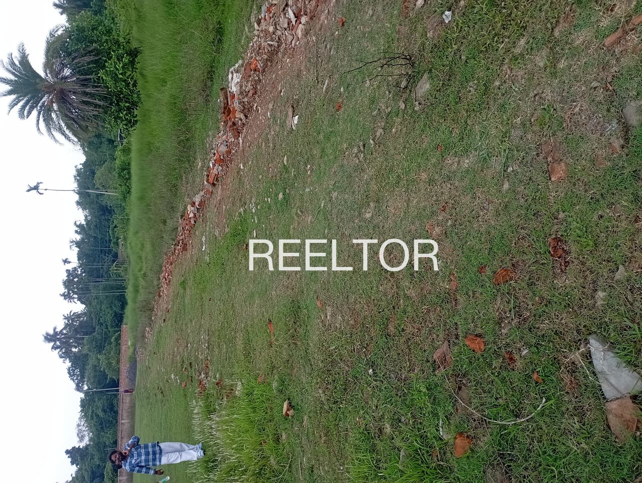 Plots For Rent In Burj Naklian Raikot