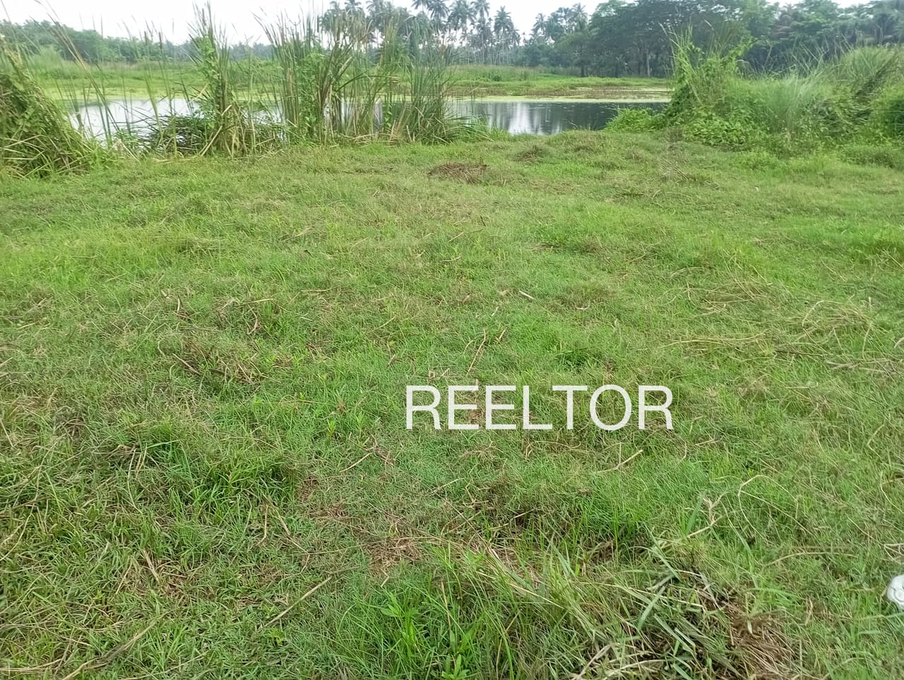 Plots For Rent In Bandokaput Nandapur