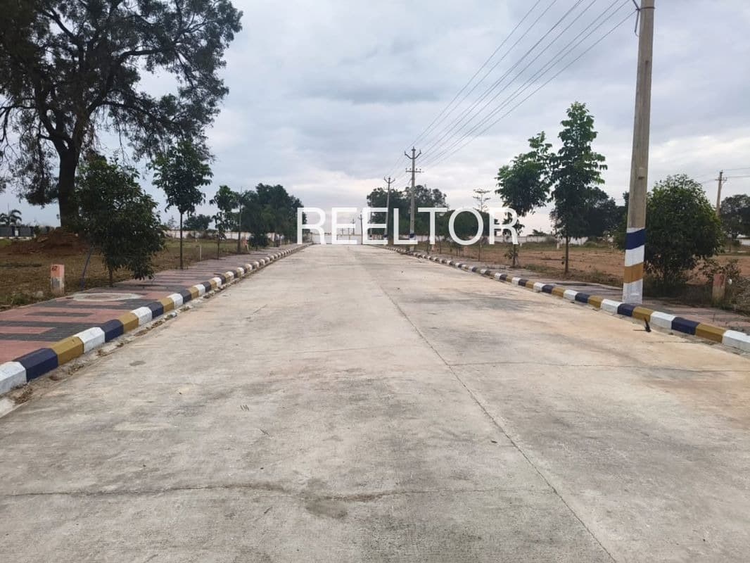 Plots For Rent In Bothalapalem Damaracherla