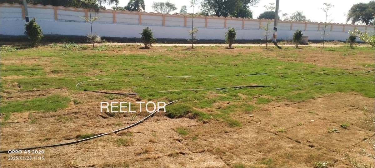 Plots For Rent In Shano Karsog