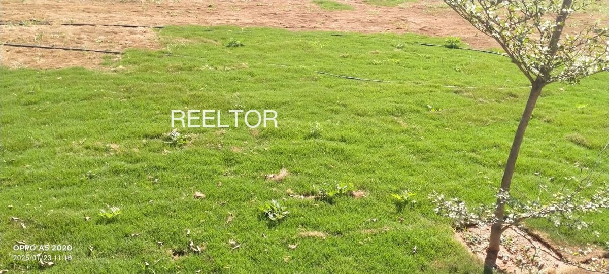 Plots For Rent In Anakudi Kilvelur