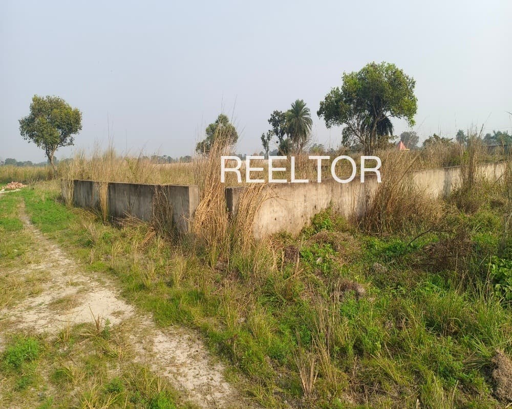 Plots For Rent In Bagar Gangolihat