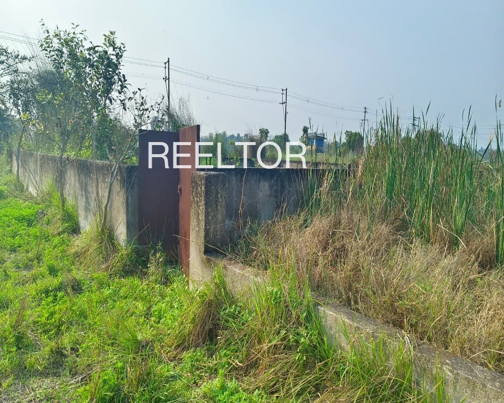 Plots For Rent In Deorala Gangolihat