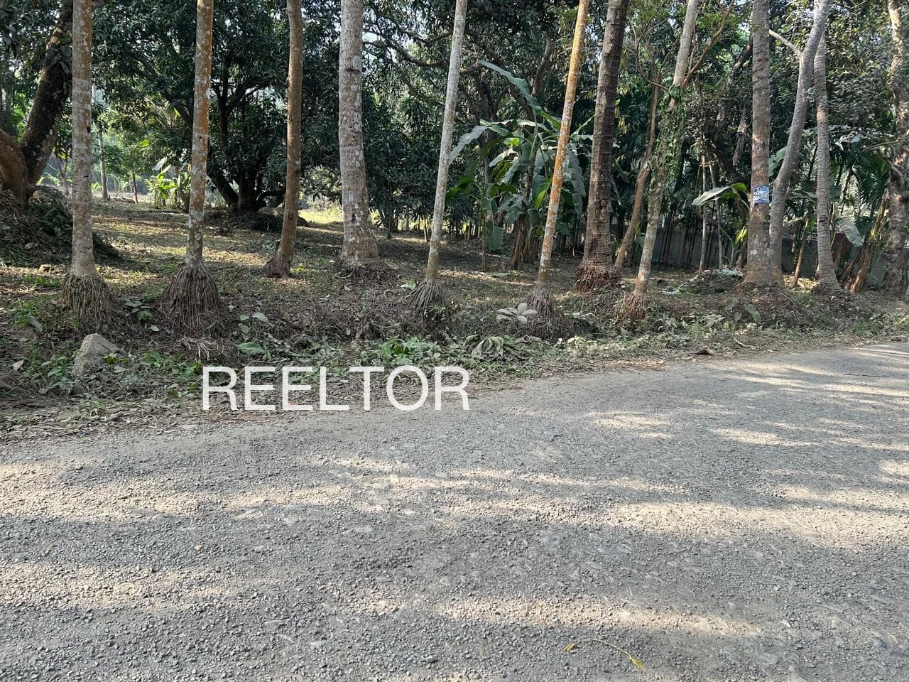 Plots For Rent In Koilnangai Nannilam
