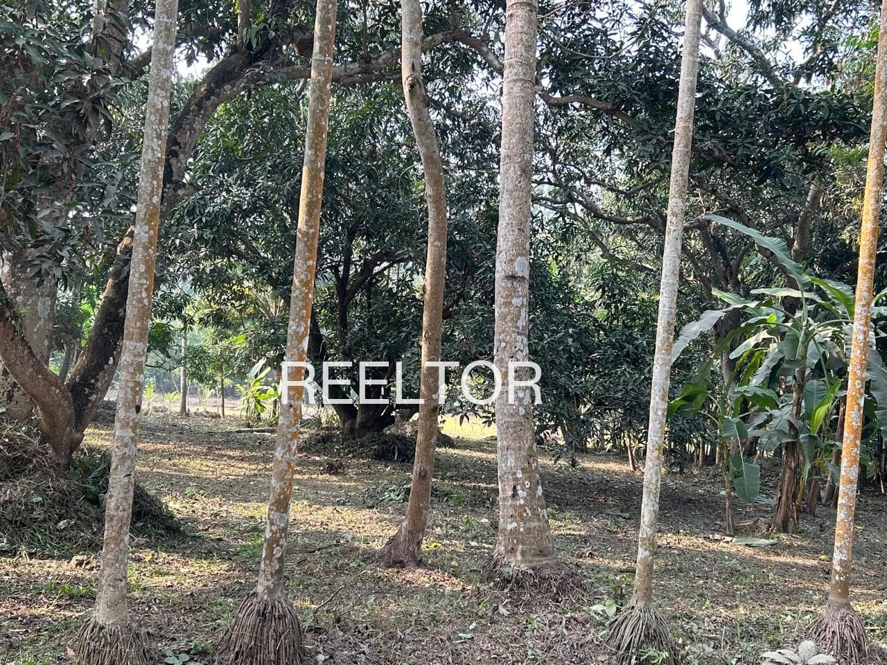 Plots For Rent In Thottiyam Tamil Nadu