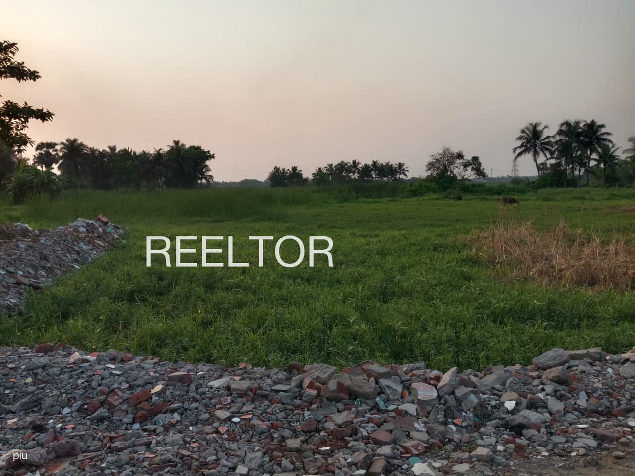 Plots For Rent In Palpar Nagla Khair