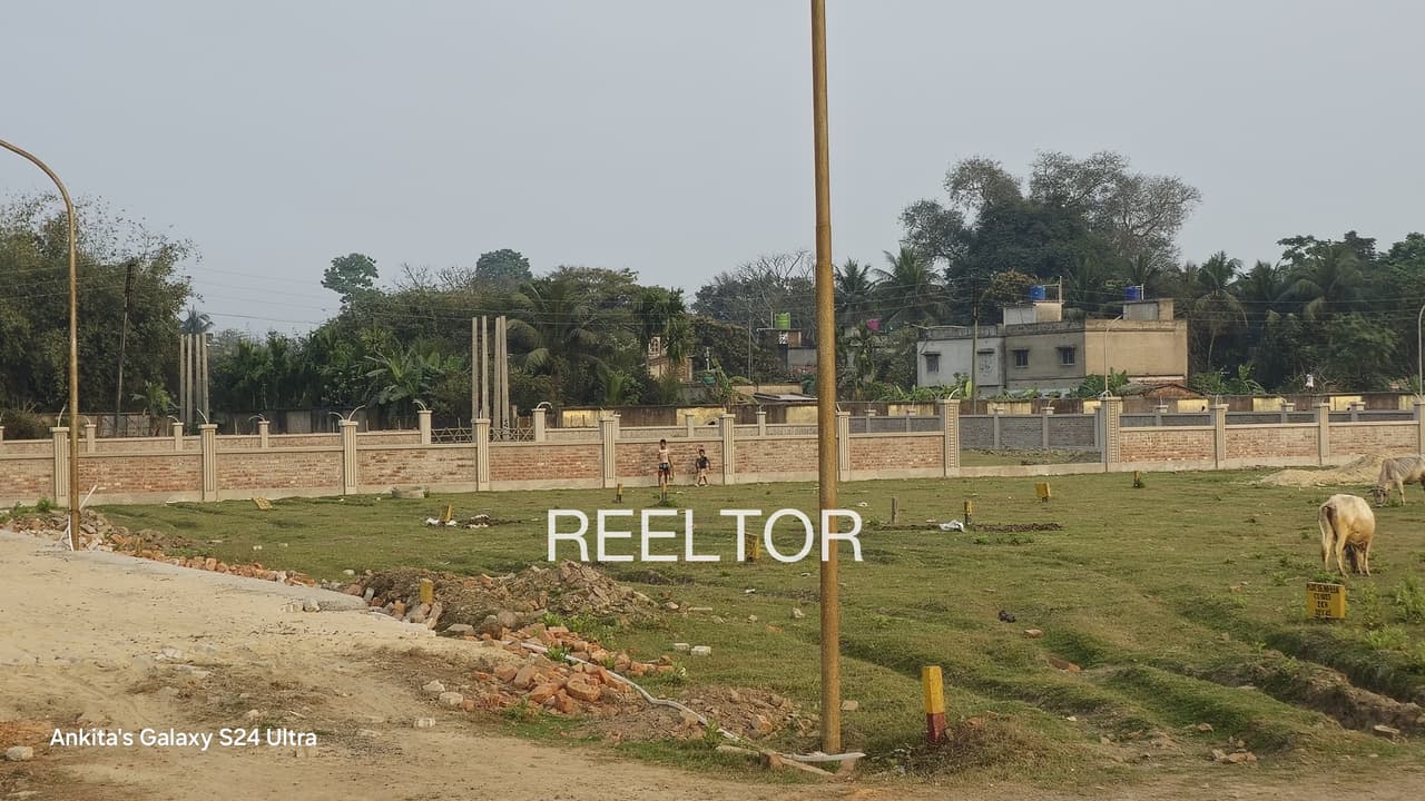 Plots For Rent In Kharima Nad Kosya Kutauli
