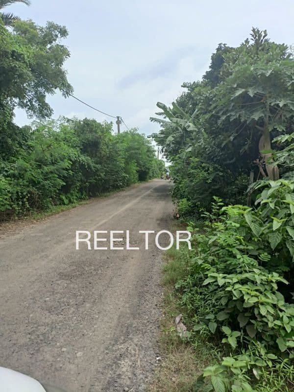 Plots For Rent In Lavhana Ghatanji