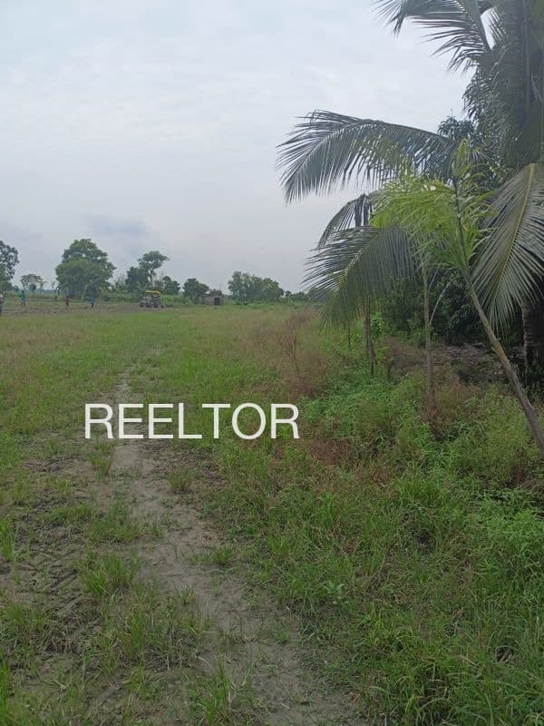 Plots For Rent In Maushiamb Gadchiroli