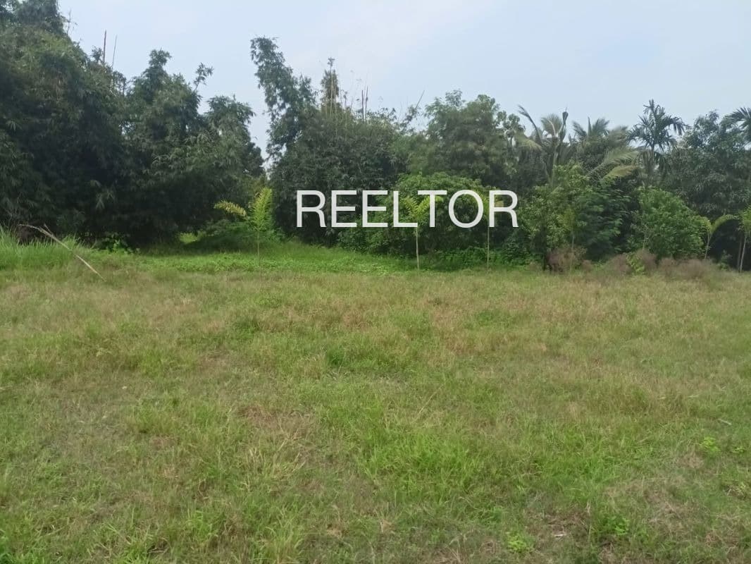 Plots For Rent In 54000 Rd Pilibanga