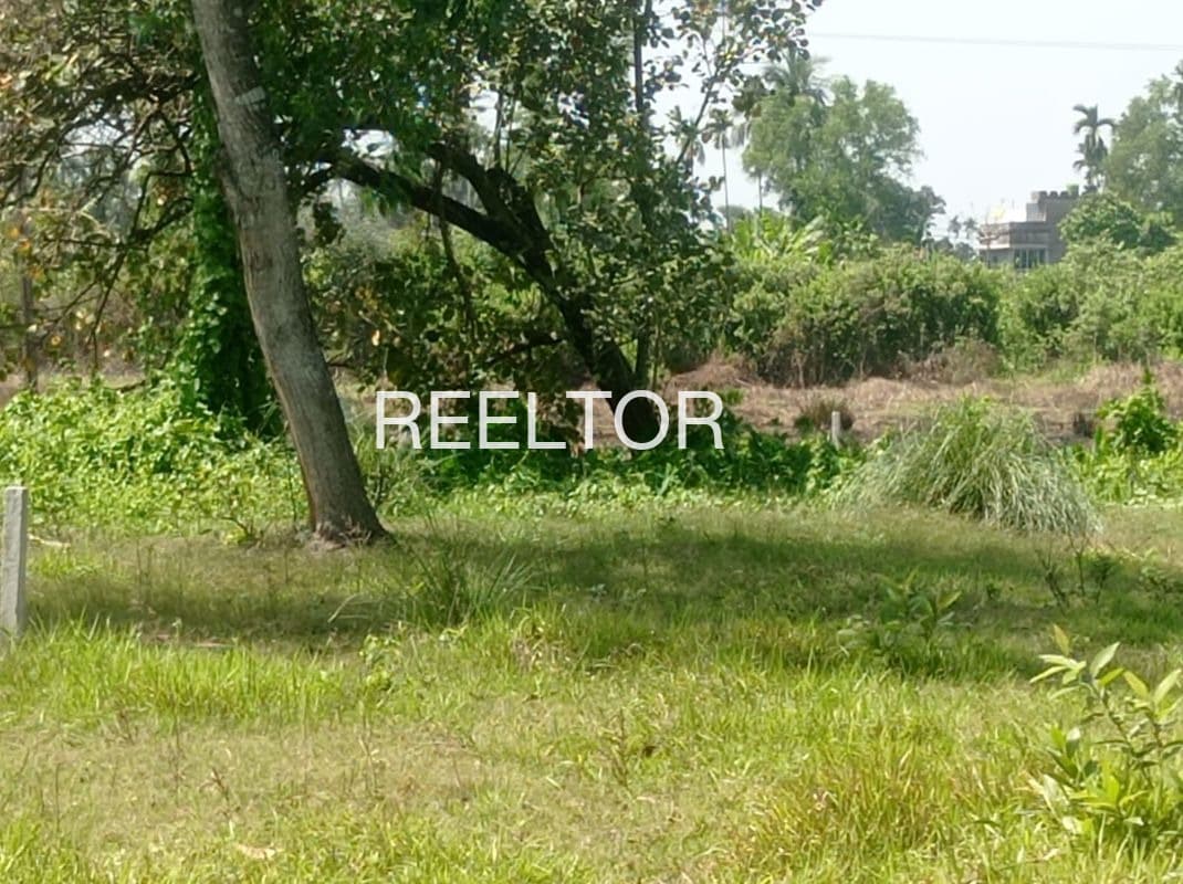 Plots For Rent In Bhumiyadhar Nainital