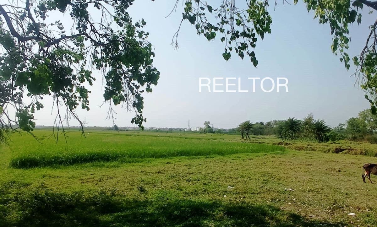 Plots For Rent In Sunwaha Tikamgarh