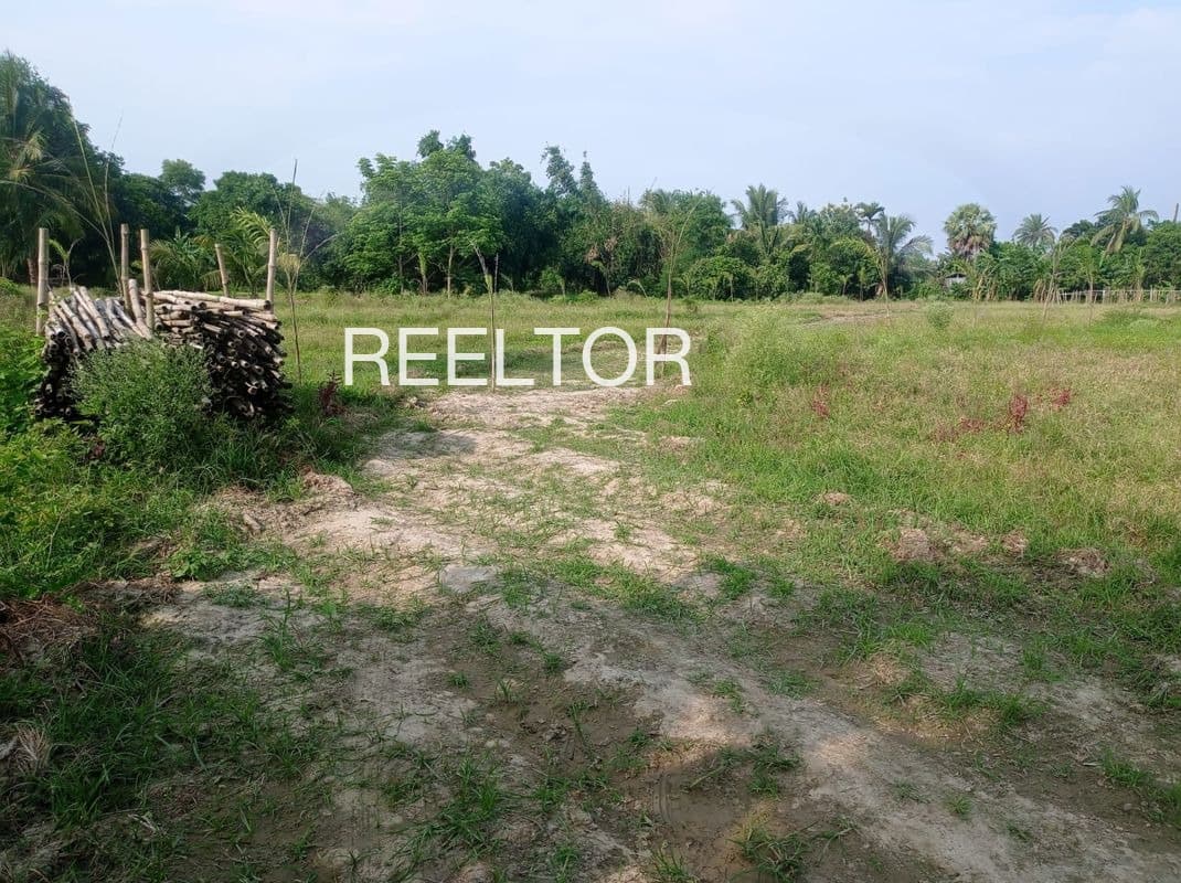 Plots For Rent In Agri Ki Dhani Neem Ka Thana