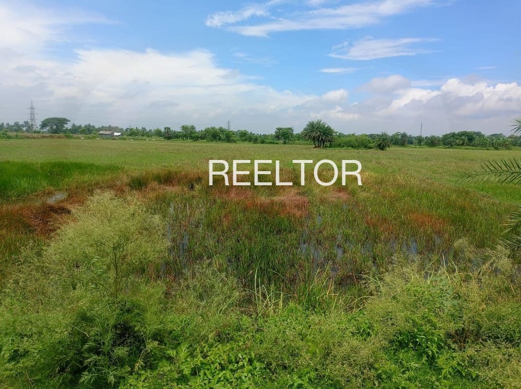 Plots For Rent In Theekariya Khandela