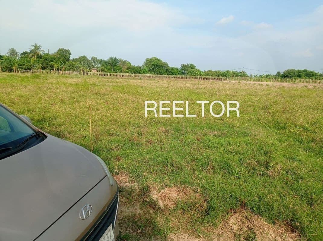 Plots For Rent In Mauchh Chinour