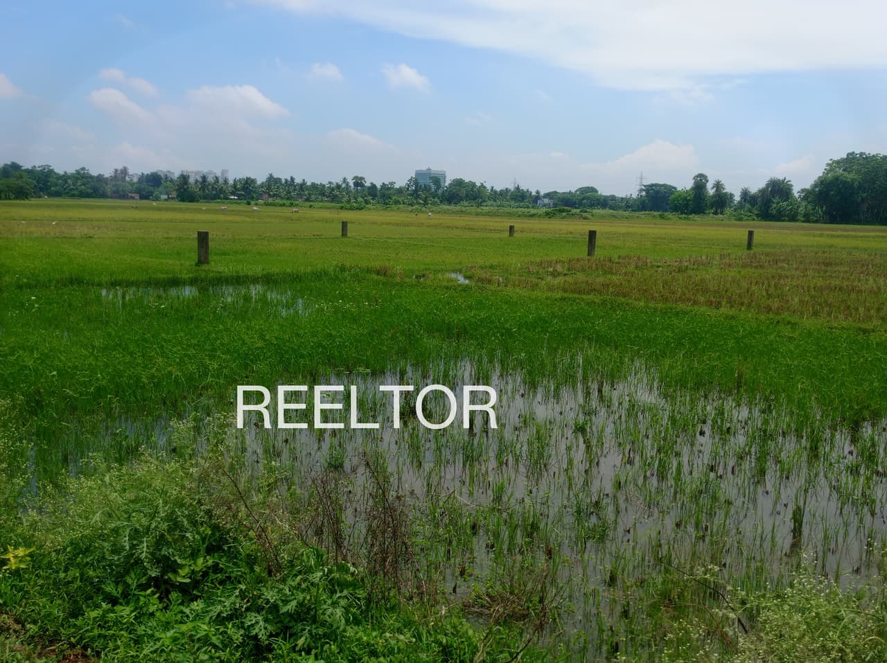 Plots For Rent In Zilmili Gondiya