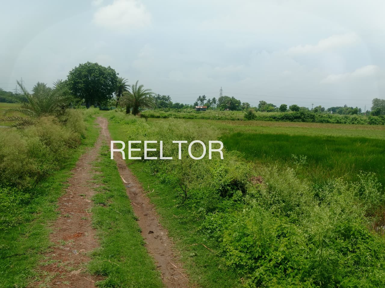 Plots For Rent In Anyartholu Udumbanchola