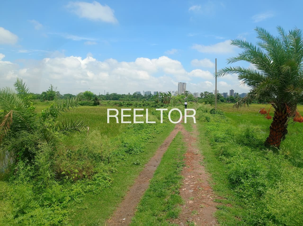 Plots For Rent In Boran Fatehgarh Sahib